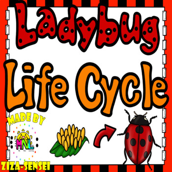 Preview of Ladybug Life Cycle Science Pack 2nd Grade Flip Book Included