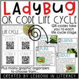 Ladybug Life Cycle {QR Codes}