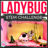 Ladybug Life Cycle STEM & Craft Ladybugs