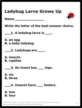 Ladybug Larva Grows Up Activities Distance Learning School or At Home