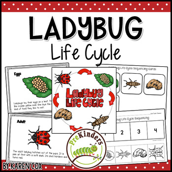 Preview of Ladybug Life Cycle Science | Preschool Pre-K