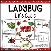 Ladybug Life Cycle Science | Preschool Pre-K