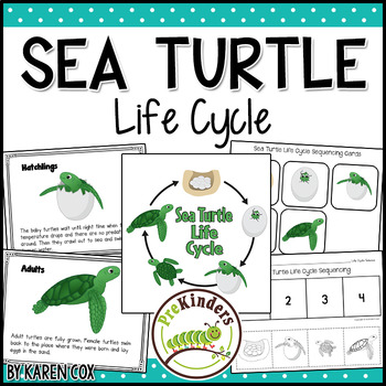 Preview of Sea Turtle Life Cycle Science | Preschool Pre-K