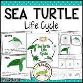 Sea Turtle Life Cycle Science | Preschool Pre-K
