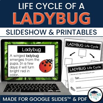 Preview of Ladybug Life Cycle Slideshow Lesson for Google Slides™ + Printable Activities