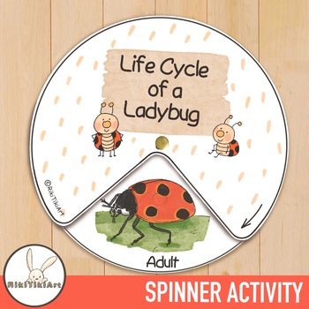 Preview of Ladybug Life Cycle Spinner Activity Nature Study Homeschool Materials