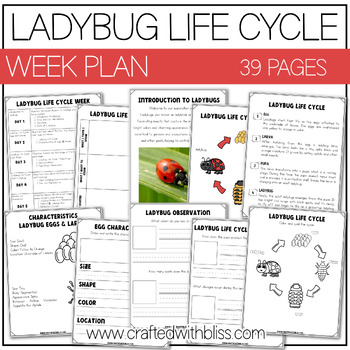 Preview of Ladybug Life Cycle Week Unit Plan Science K-2 Craft Worksheet