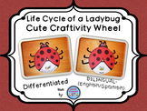 Ladybug Life Cycle Wheel Craftivity {BILINGUAL - SUPER CUTE!}