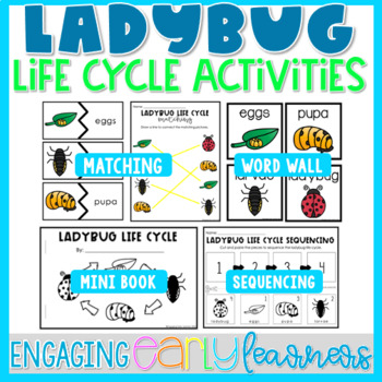 Preview of Ladybug Life Cycle Printable Word Wall & Activities | Preschool PreK Kinder