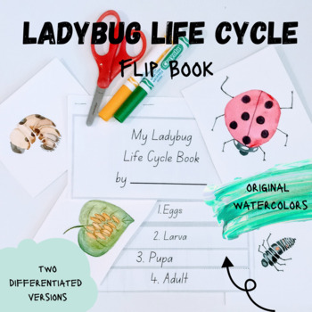 Preview of Ladybug Lifecycle Flip Book - PK, K, 1st and 2nd [differentiated]