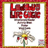 Ladybug Lifecycle/Inform.Reader/Activity Sheet/Poster/Word Cards