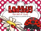 Ladybug Mini-Science Study