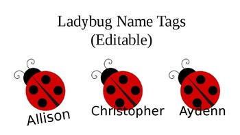 Preview of Ladybug Name Tags