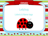 ladybug name tags teaching resources teachers pay teachers