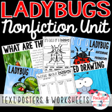 Ladybug Nonfiction Unit