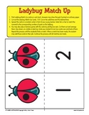 Ladybug Number Matchup