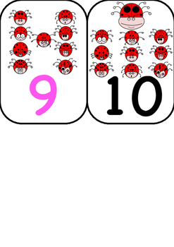 Miraculous Ladybug Characters Flashcards