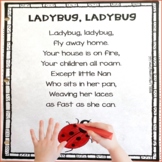 Ladybug Poem for Spring and Summer Bug Lessons