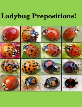 Preview of Ladybug Prepositions!!