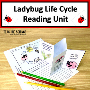 Preview of Summer Reading Passages Ladybug Life Cycle Informational Text Summer Science