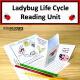 Summer Reading Passages Ladybug Life Cycle Informational T
