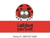 Ladybug Room Decor Pack
