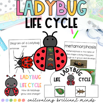 Preview of Ladybug Science & ELA Research Project | Nonfiction Unit | Life Cycle | Spring