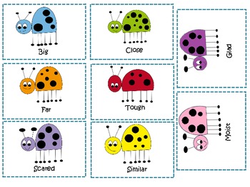 Ladybug Synonyms by Nina McKenzie | Teachers Pay Teachers