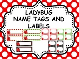 Ladybug  Theme Name Tags and  Labels