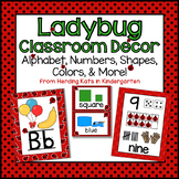 Ladybug Theme Classroom Resource Posters