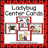 Ladybug Themed Pocket Chart  Center Cards