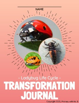 Preview of Ladybug Transformation Interactive Observation Journal / Metamorphosis Notebook