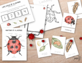 Ladybug Unit Study Bundle