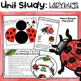 Ladybug Unit Study | Ladybug and Spring Themed Activities 