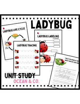 Preview of Ladybug Unit Study: Science, Writing, Drawing, Coloring