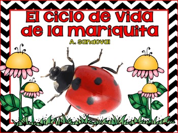 Preview of Ladybug Unit in Spanish Las mariquitas