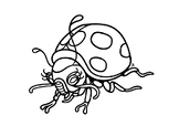Ladybug - Wild Life Colouring Page