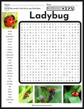 Ladybug Word Search Puzzle - Animal Research - All About Ladybugs