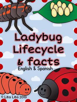 Ladybug life cycle and facts by Lita Lita | Teachers Pay ...