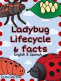 Ladybug life cycle and facts