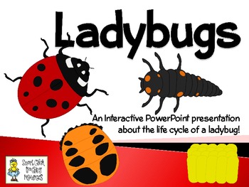 Preview of Ladybugs ~ An Interactive PowerPoint Presentation of their Life Cycle