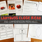 Ladybugs Close Read | Ladybug Lifecycle