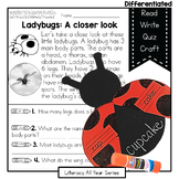 Ladybugs - Compound Words - Literacy and Craft