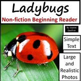Ladybugs: Non-fiction animal e-book for beginning readers