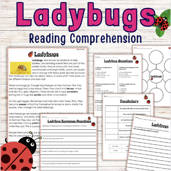 Preview of Ladybugs Reading Comprehension | Centers | Science | Informational | Spring