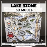 Lake Biome Model - 3D Model - Biome Project - Distance Learning