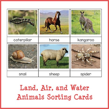 Preview of Land, Air and Water Animals Sorting Cards