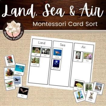 Preview of Land, Sea & Air Montessori Animal Card Sort