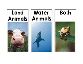 Land Water Animal Sort by A Pocket Full of Pages | TPT
