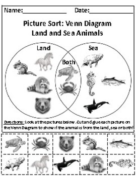 Land and Sea Animals Picture Sort Graph Activity - Aligned to  ,  